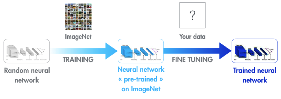 Figure 7: Training a neural network with transfer learning